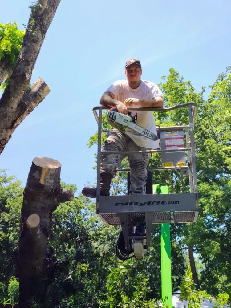 Expert lawn mowing service experts serving Robinson, TX - Chosen Lawn & Tree Service