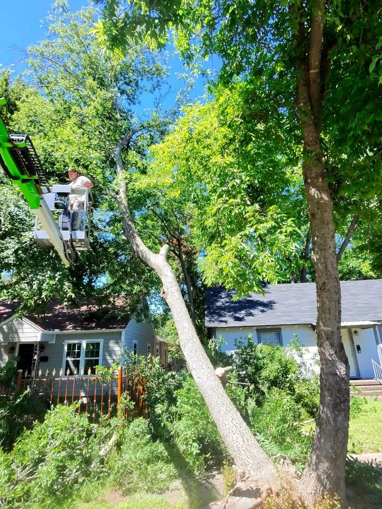 Top-rated lawn care service with custom design in Robinson, TX by Chosen Lawn & Tree Service