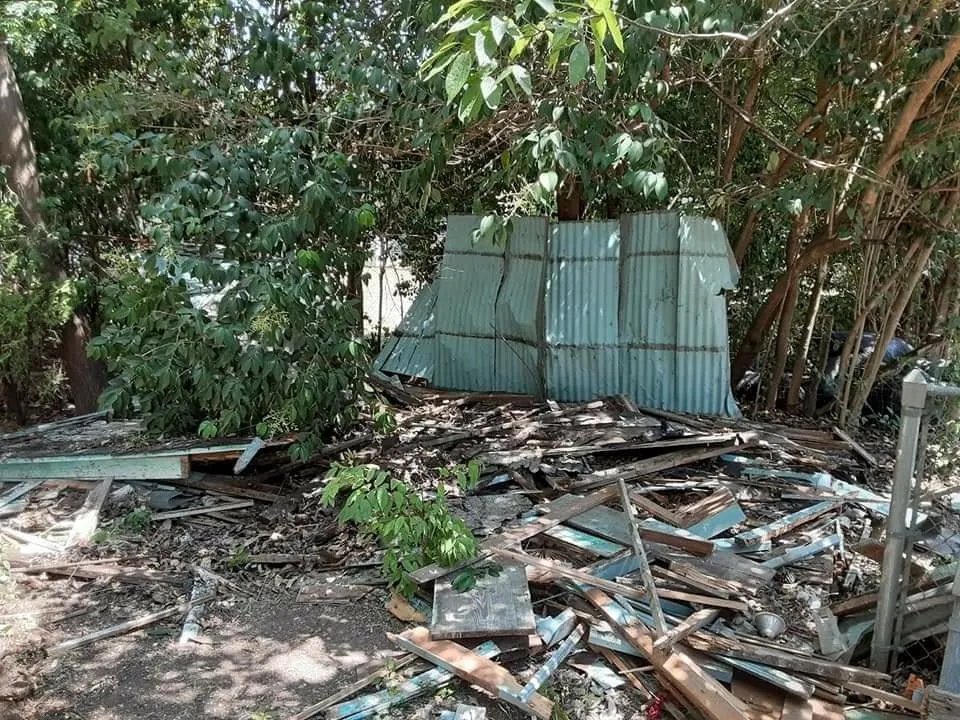 Affordable lawn care service in Robinson, TX - Chosen Lawn & Tree Service