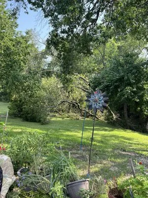 Chosen Lawn & Tree Service