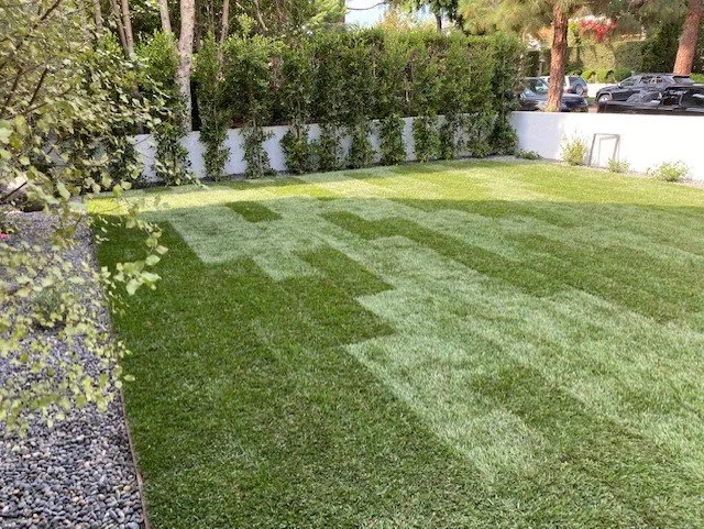 Top-rated yard maintenance in Los Angeles, CA - Choto's Landscaping