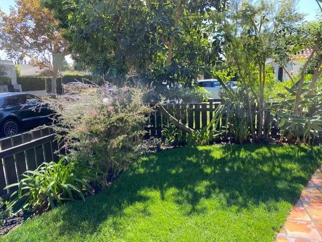 Affordable landscape design in Los Angeles, CA by Choto's Landscaping