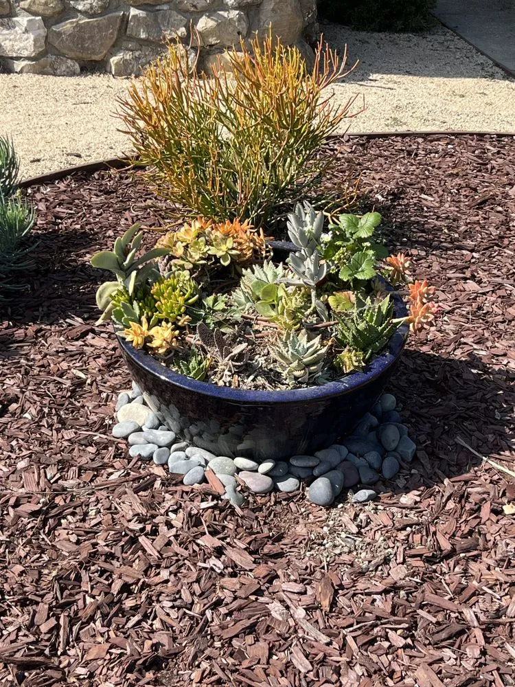 Trusted landscape design in Los Angeles, CA by Choto's Landscaping