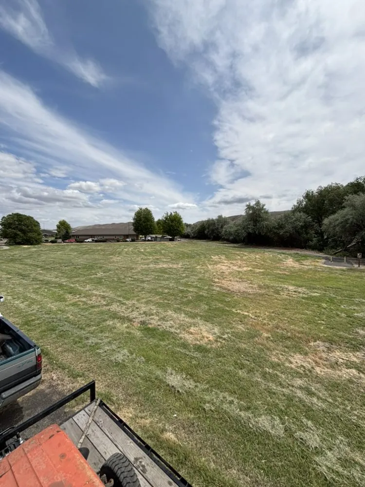 Reliable lawn care service in Selah, WA - Chouinards Field & Brush Mowing