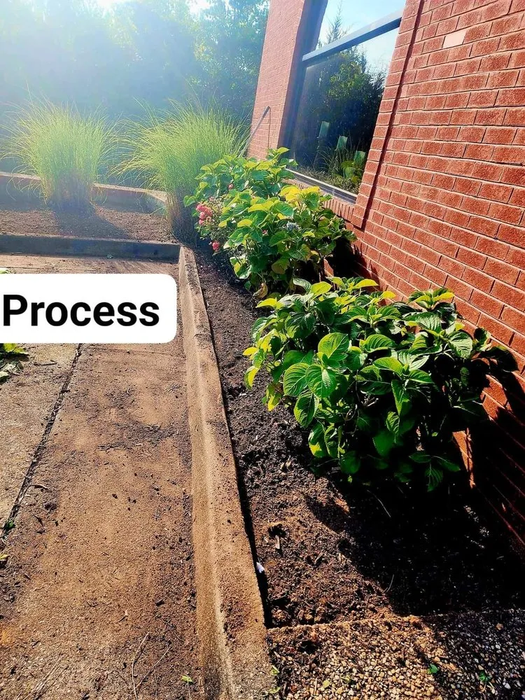 Professional lawn care service for residential properties across Fredericksburg, VA - Choys Lawn Services