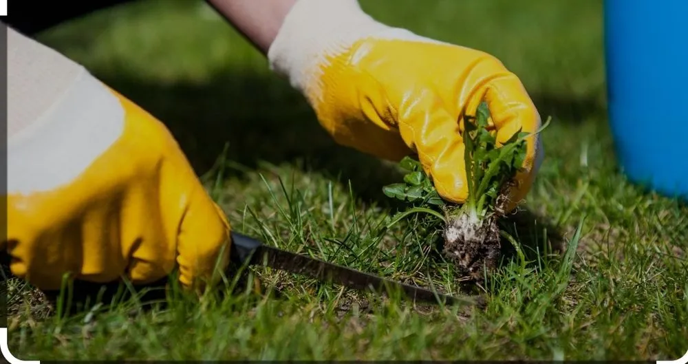 Reliable garden landscaping in Fredericksburg, VA - Choys Lawn Services