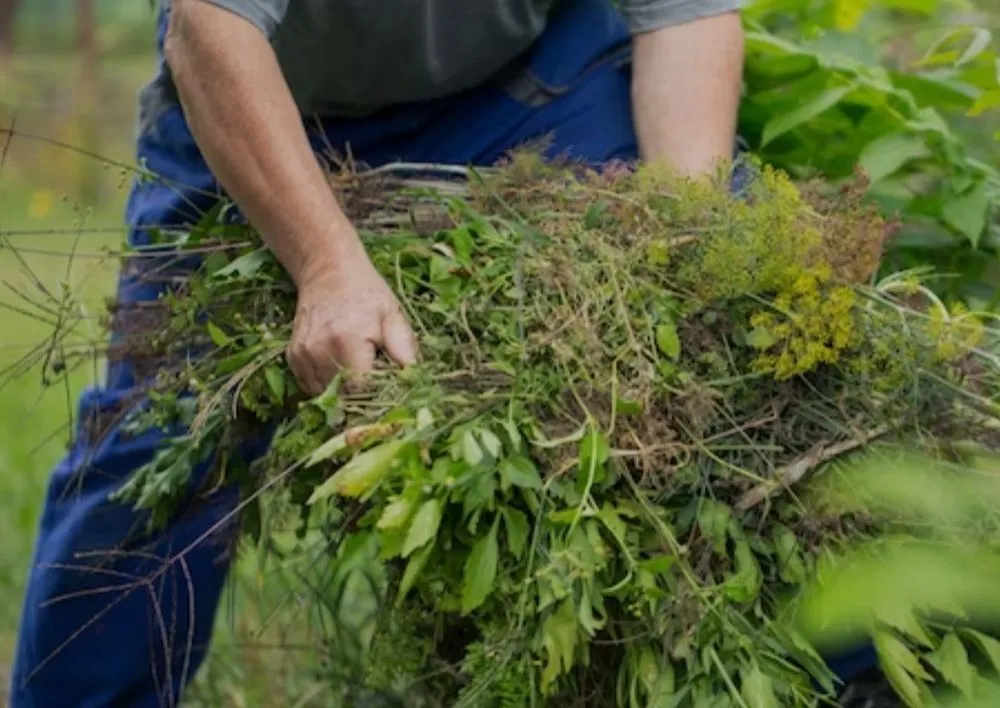 Local outdoor landscaping with custom design in Fredericksburg, VA by Choys Lawn Services