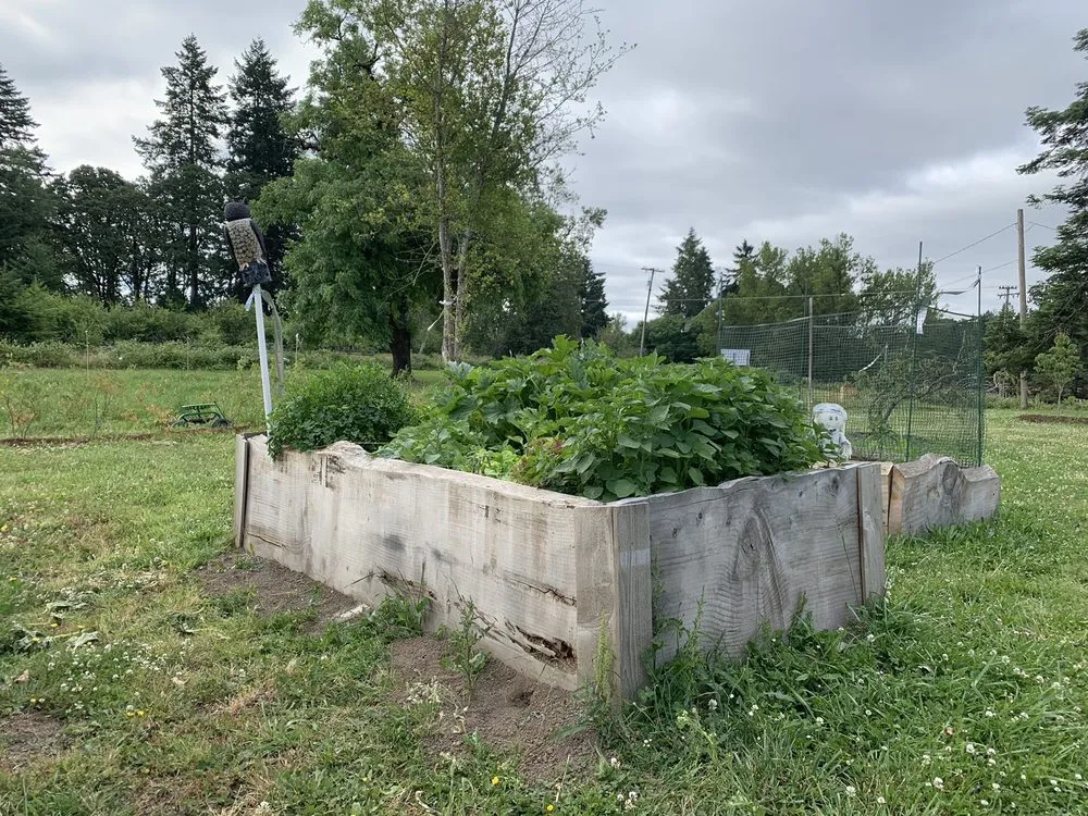 Custom lawn care service near you in Beaverton, OR by Chozen Gardens