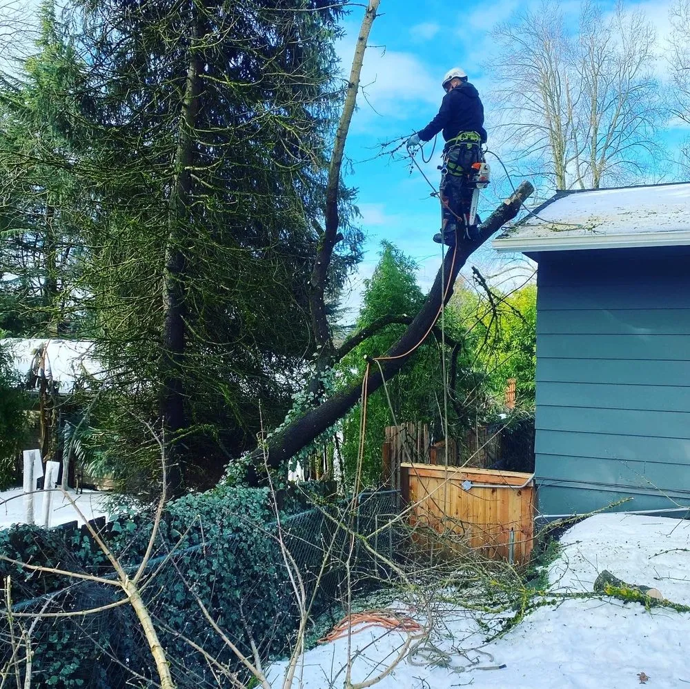 Top-rated landscaping services near you in Beaverton, OR by Chozen Gardens