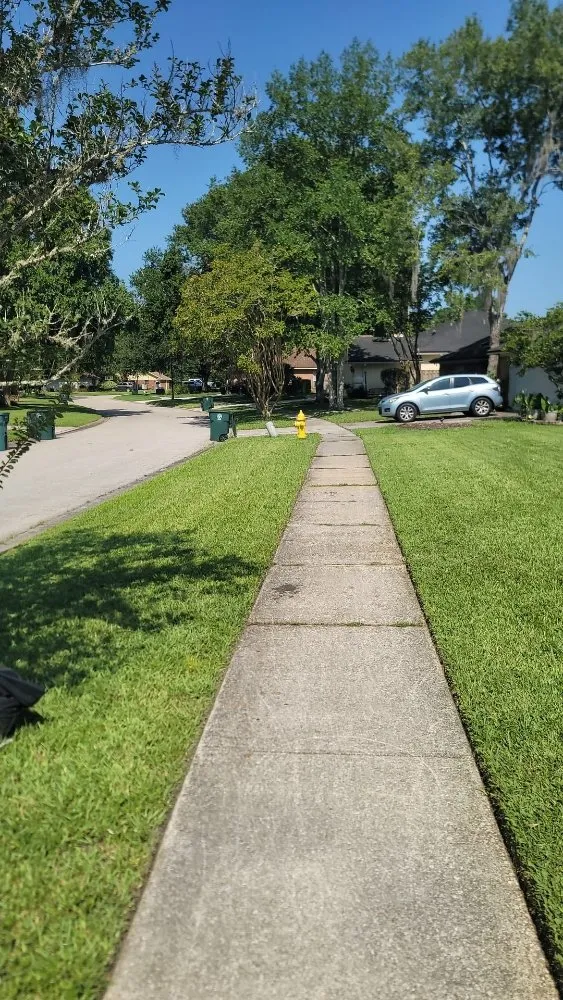 Trusted outdoor landscaping in Jacksonville, FL by CHP Landscaping