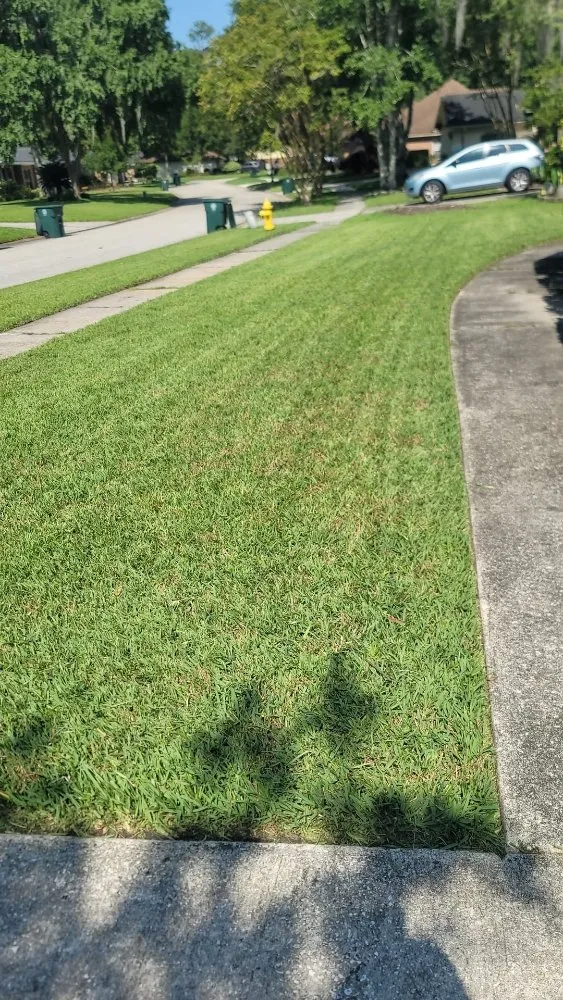 Trusted outdoor landscaping experts serving Jacksonville, FL - CHP Landscaping