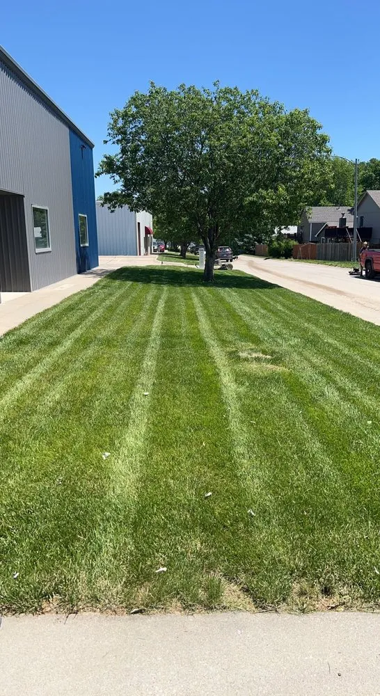 Professional yard cleanup service near you across Omaha, NE - Chrapkowski Lawn Care