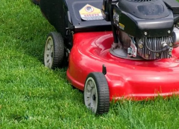 Affordable lawn mowing service for outdoor upgrades in Thomasboro, IL by Chris & Company