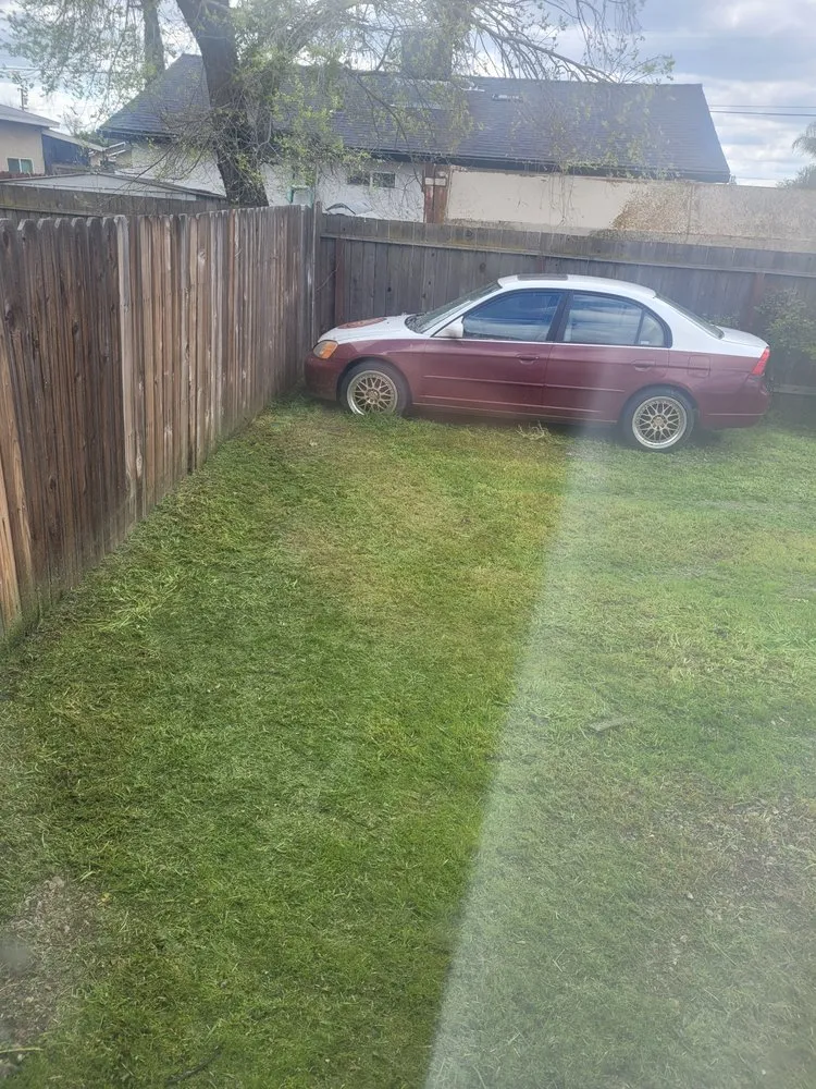 Professional landscaping services experts serving Stockton, CA - Chris & Tony's Lawntastic Service