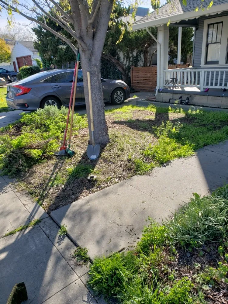 Custom outdoor landscaping with custom design in Stockton, CA by Chris & Tony's Lawntastic Service