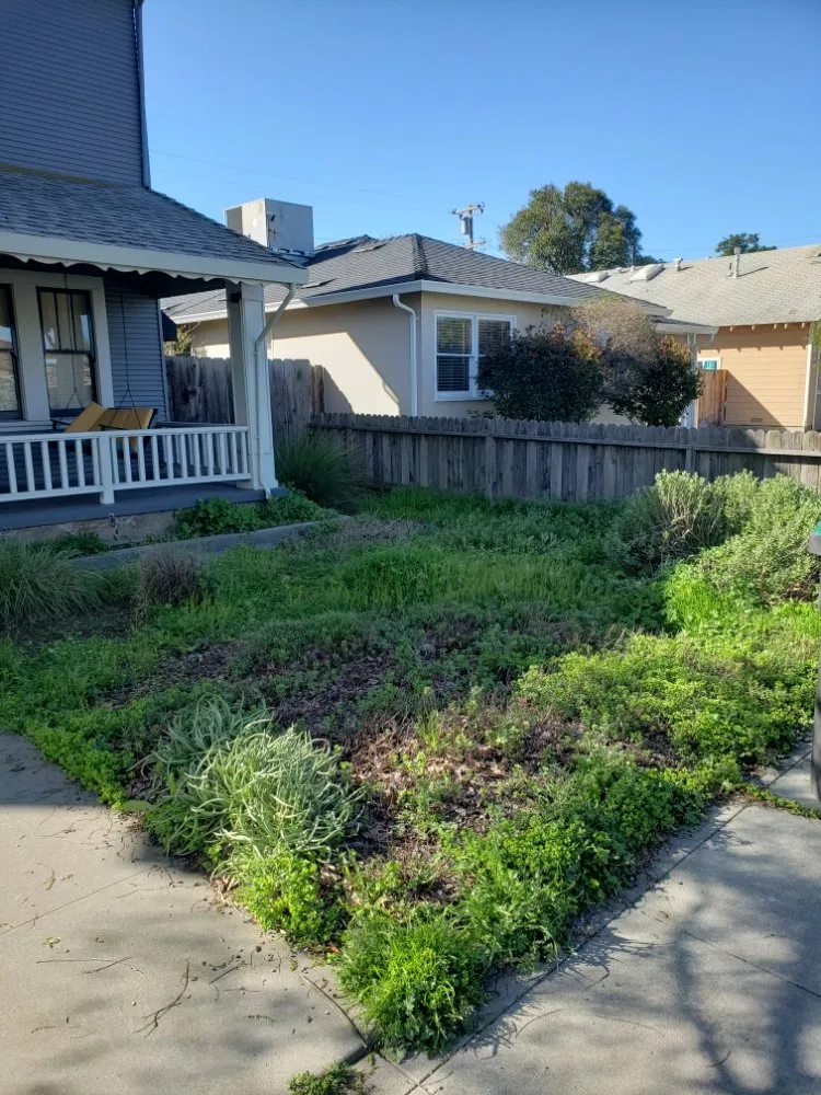 Expert yard maintenance in Stockton, CA - Chris & Tony's Lawntastic Service