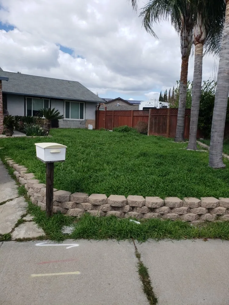 Affordable landscaping services in Stockton, CA by Chris & Tony's Lawntastic Service