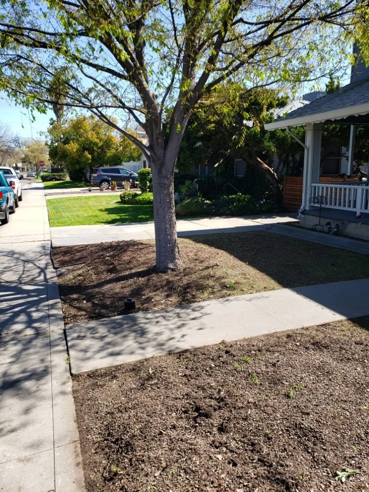 Reliable landscape design experts serving Stockton, CA - Chris & Tony's Lawntastic Service