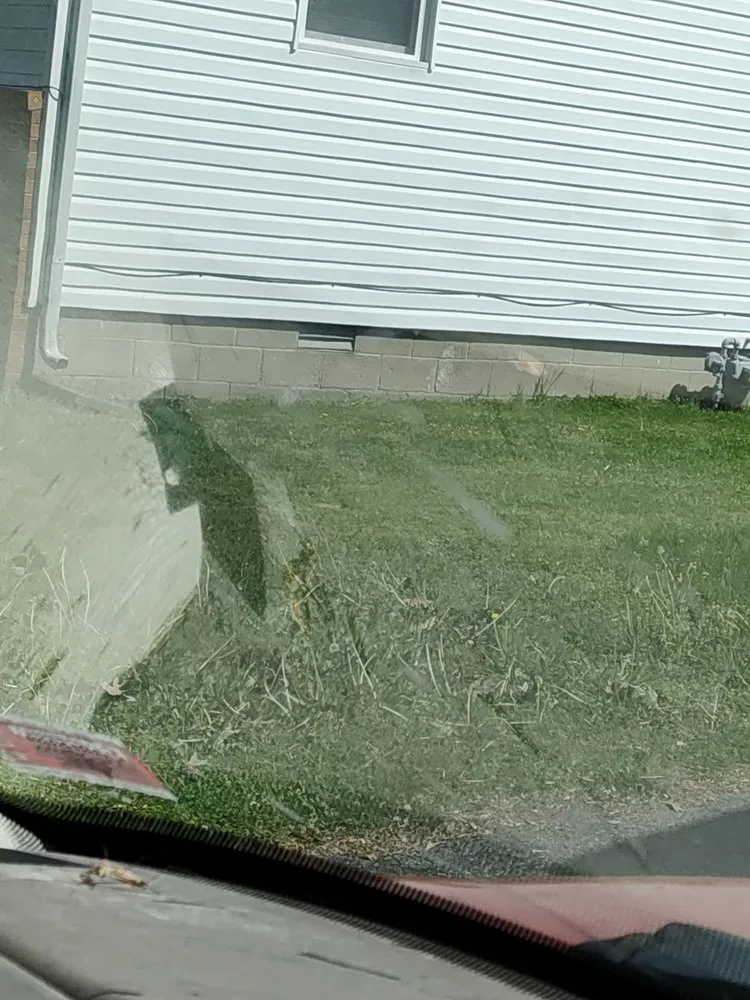 Affordable lawn mowing service experts serving Marble Hill, MO - Chris and Derricks Moonlighting Services