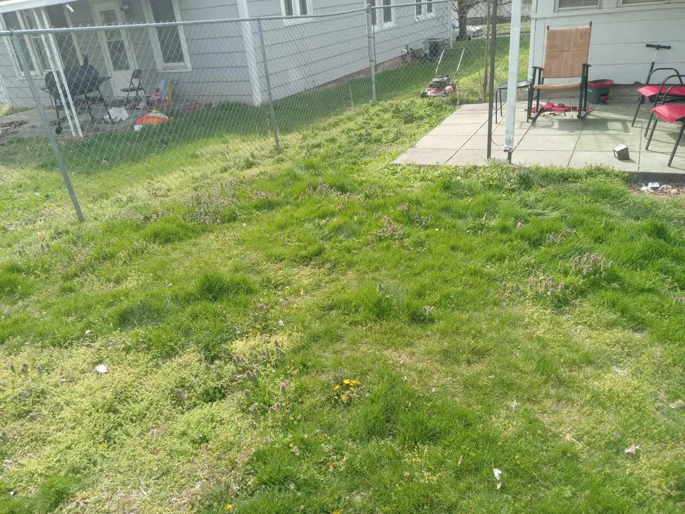 Expert residential landscaping in Marble Hill, MO by Chris and Derricks Moonlighting Services