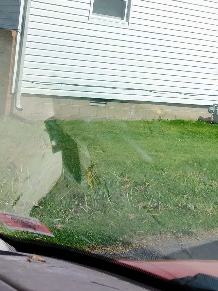 Local yard cleanup service for outdoor upgrades in Marble Hill, MO by Chris and Derricks Moonlighting Services