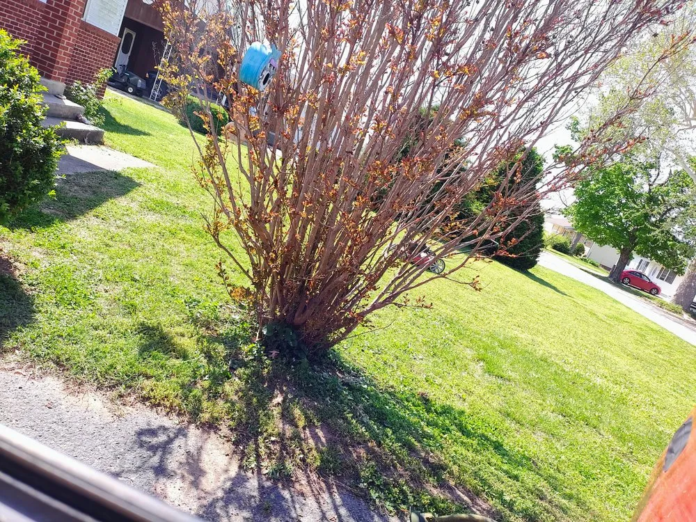 Local outdoor landscaping in Marble Hill, MO - Chris and Derricks Moonlighting Services