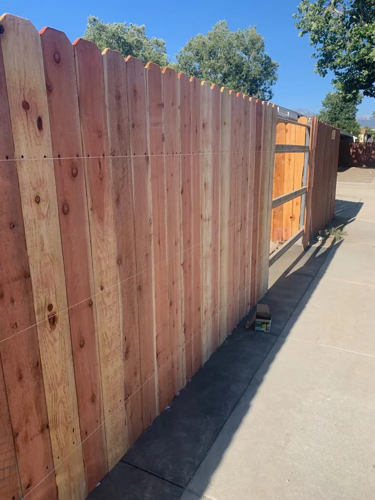 Professional yard cleanup service with custom design in Winchester, CA by Chris and Frank Landscaping and Construction