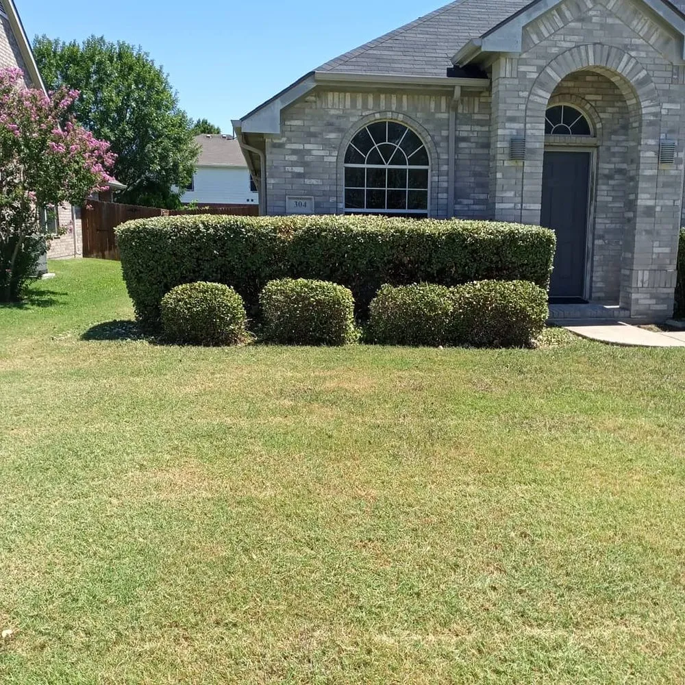 Top-rated landscape installation for outdoor upgrades in Plano, TX by Chris And Papa Lawn Care