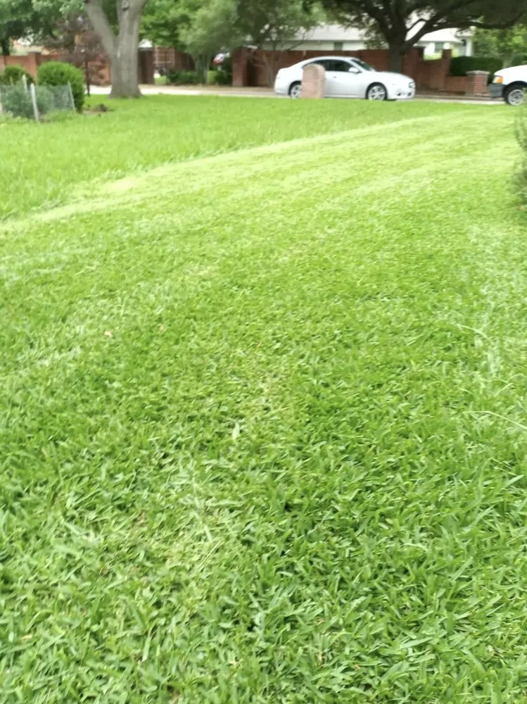 Professional residential landscaping experts serving Plano, TX - Chris And Papa Lawn Care