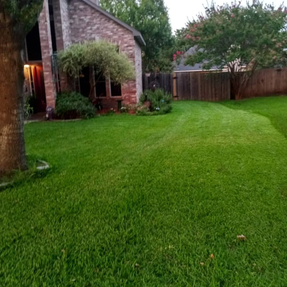 Professional outdoor landscaping in Plano, TX - Chris And Papa Lawn Care