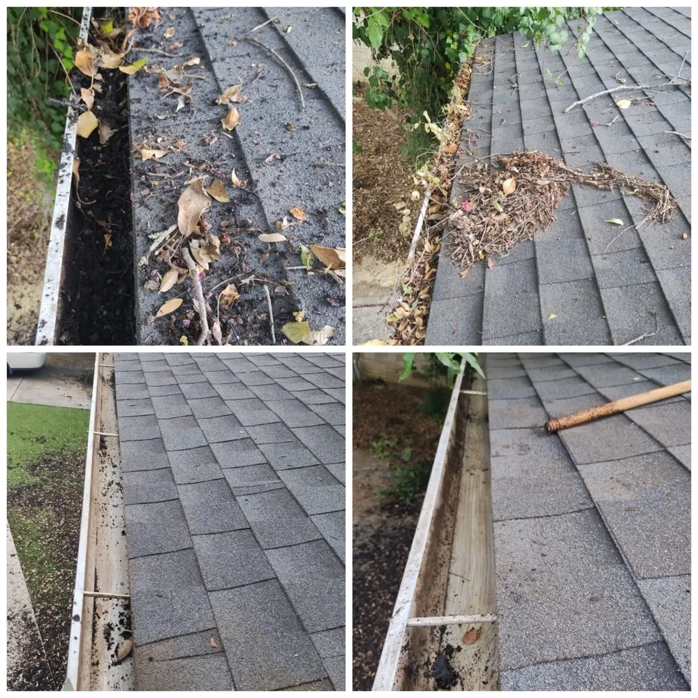 Expert yard cleanup service in Luling, TX - Chris Anthony's Lawn Service