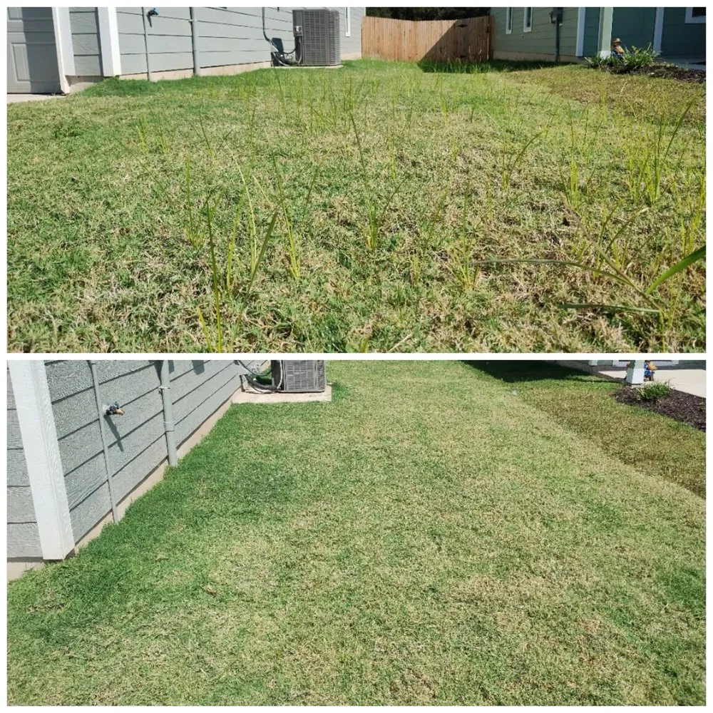 Custom residential landscaping for beautiful yards in Luling, TX by Chris Anthony's Lawn Service