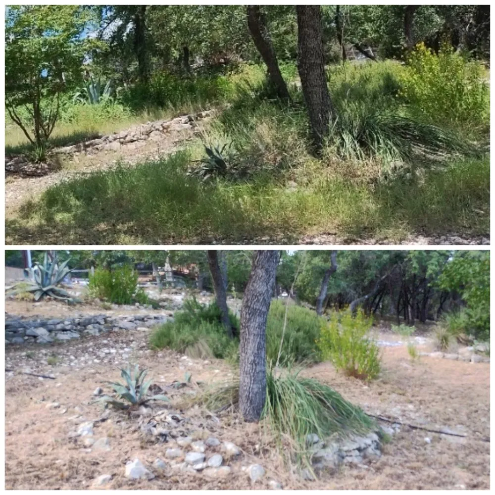 Trusted landscaping services in Luling, TX - Chris Anthony's Lawn Service