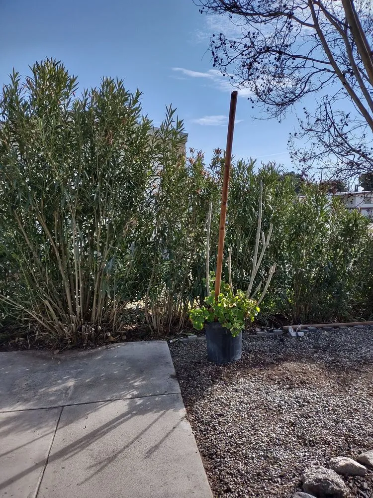 Expert outdoor landscaping in Escondido, CA - Chris' Bargain Lawn Care and Handyman Services