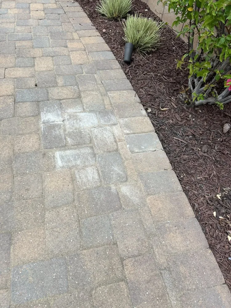 Professional landscape design in Escondido, CA by Chris' Bargain Lawn Care and Handyman Services