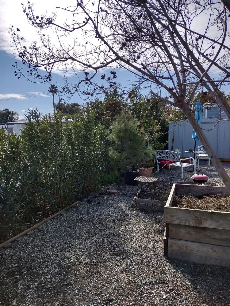 Affordable landscaping services experts serving Escondido, CA - Chris' Bargain Lawn Care and Handyman Services