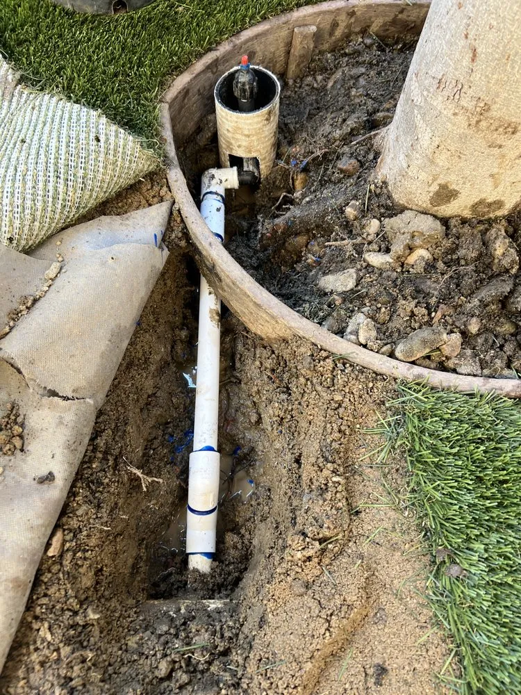 Reliable landscaping services experts serving Escondido, CA - Chris' Bargain Lawn Care and Handyman Services