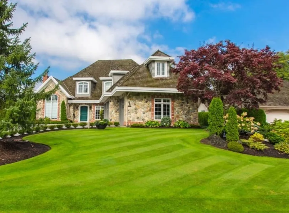 Professional landscaping services in Escondido, CA by Chris' Bargain Lawn Care and Handyman Services