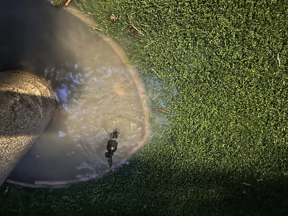 Local landscape design for beautiful yards across Escondido, CA - Chris' Bargain Lawn Care and Handyman Services