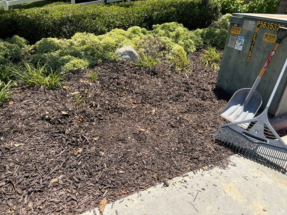 Local lawn mowing service for outdoor upgrades in Escondido, CA by Chris' Bargain Lawn Care and Handyman Services