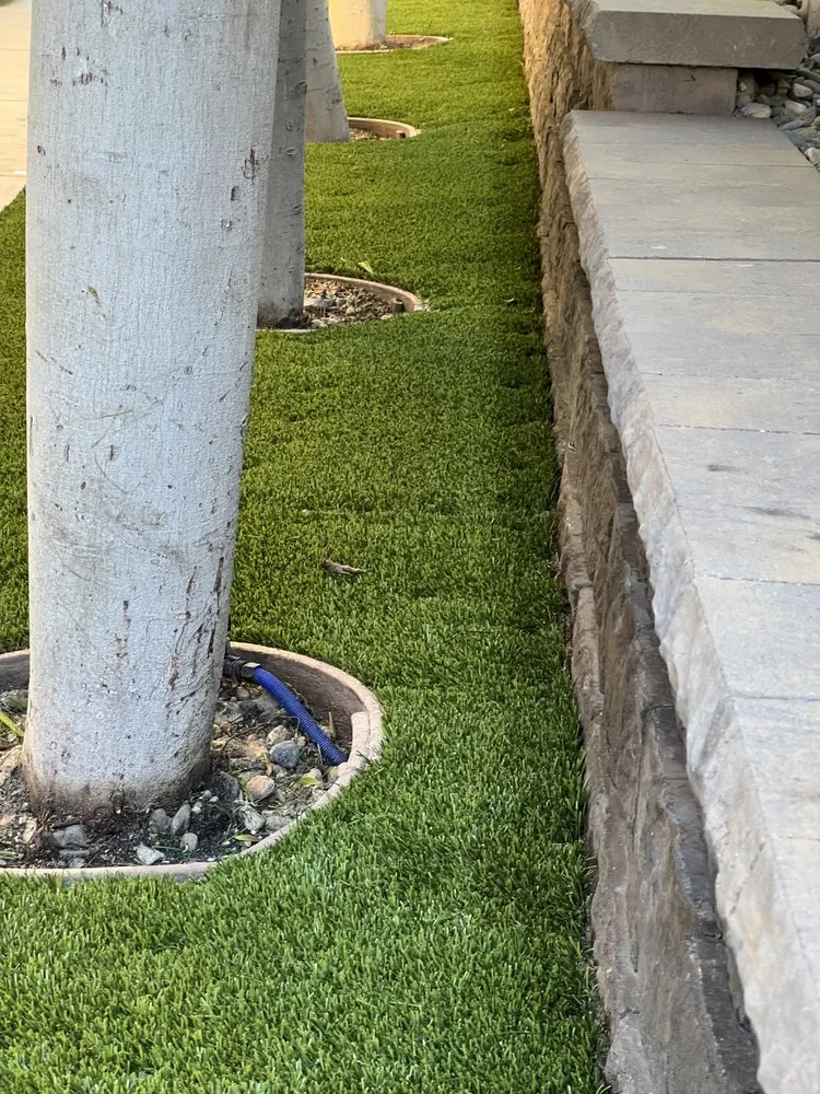 Expert yard cleanup service for beautiful yards in Escondido, CA by Chris' Bargain Lawn Care and Handyman Services