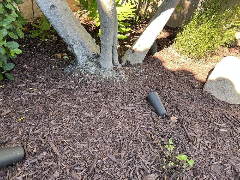 Top-rated landscape design for outdoor upgrades across Escondido, CA - Chris' Bargain Lawn Care and Handyman Services