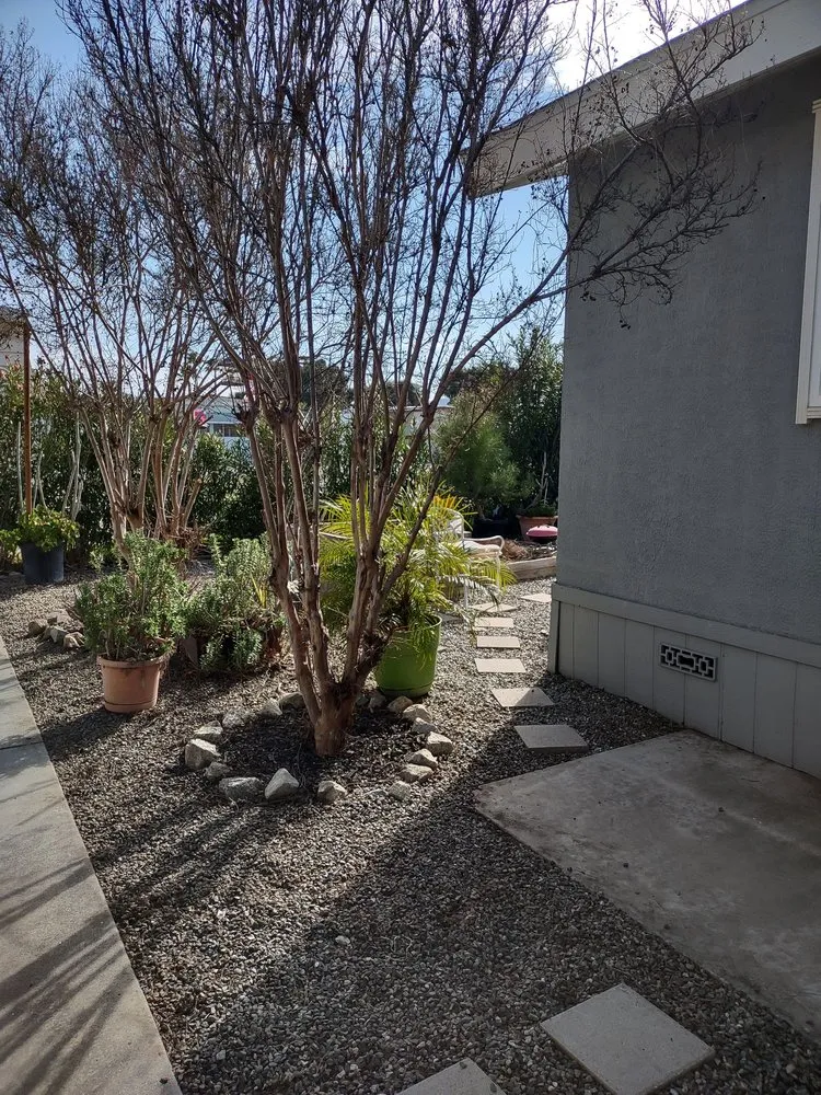 Professional yard maintenance for homes across Escondido, CA - Chris' Bargain Lawn Care and Handyman Services