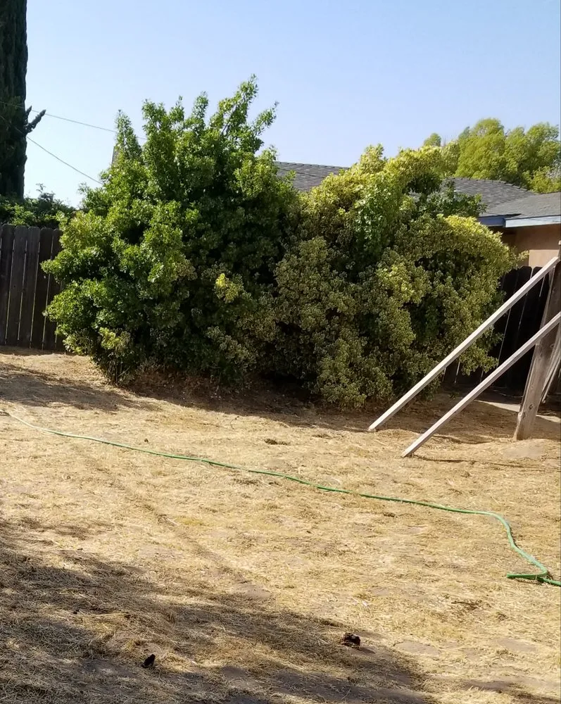 Local lawn mowing service for homes across Lathrop, CA - Chris Care