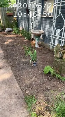 Chris Cares Lawncare Logo