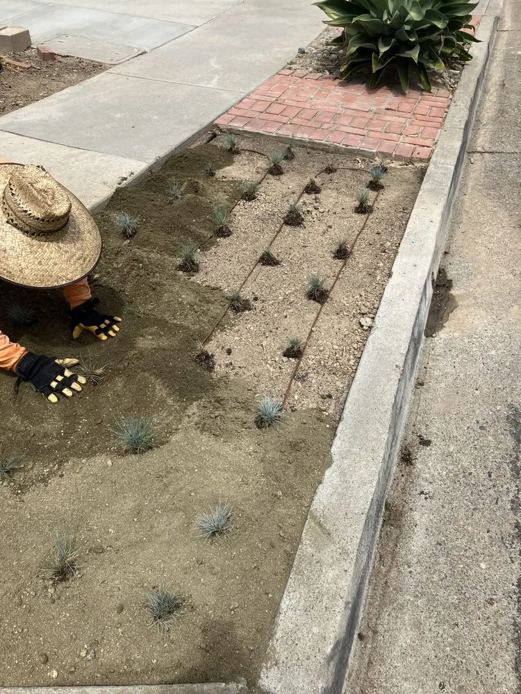 Affordable lawn mowing service in Chula Vista, CA by Chris Conway Landscaping