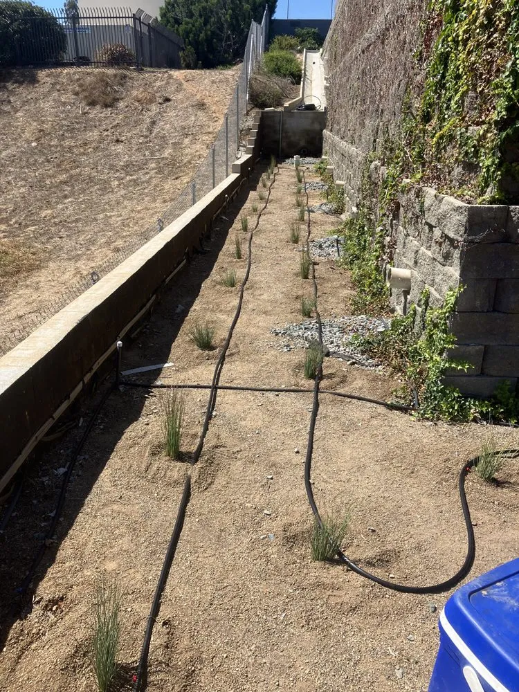 Expert landscaping services for year-round maintenance across Chula Vista, CA - Chris Conway Landscaping