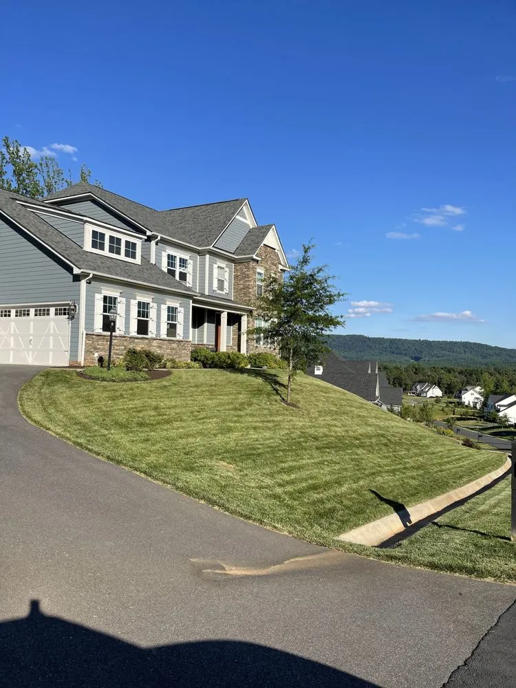 Expert yard cleanup service in Charlottesville, VA - Chris Cutts Lawn Care