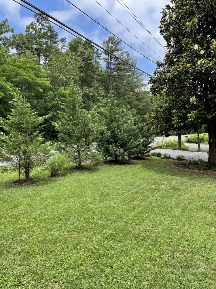 Custom lawn mowing service in Charlottesville, VA - Chris Cutts Lawn Care