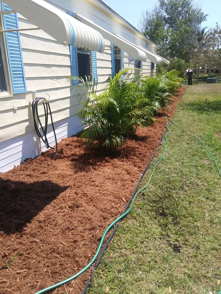 Professional yard cleanup service for beautiful yards in Vero Beach, FL by Chris Dobeck's lawns & landscaping